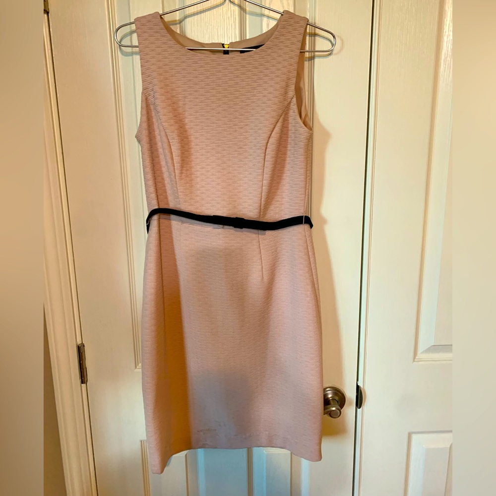 The Limited - blush dress with lace detail in the back and thin black belt